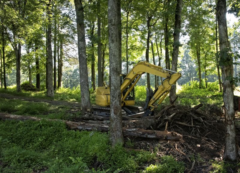 Brush Clearing Service in Marietta, GA