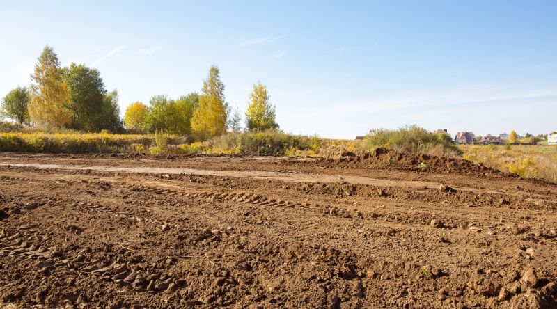 Easement Land Clearing in Utah County, UT