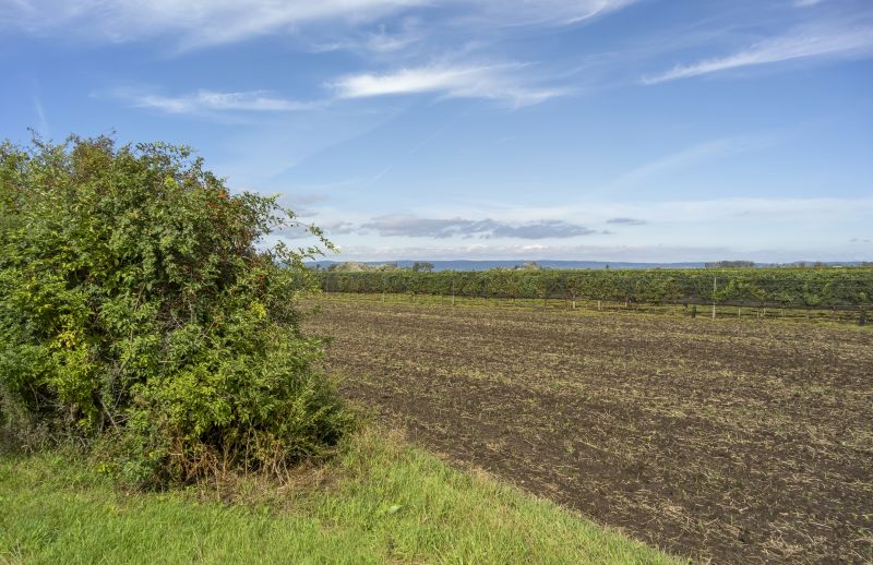 Field Clearing in Atlanta, GA