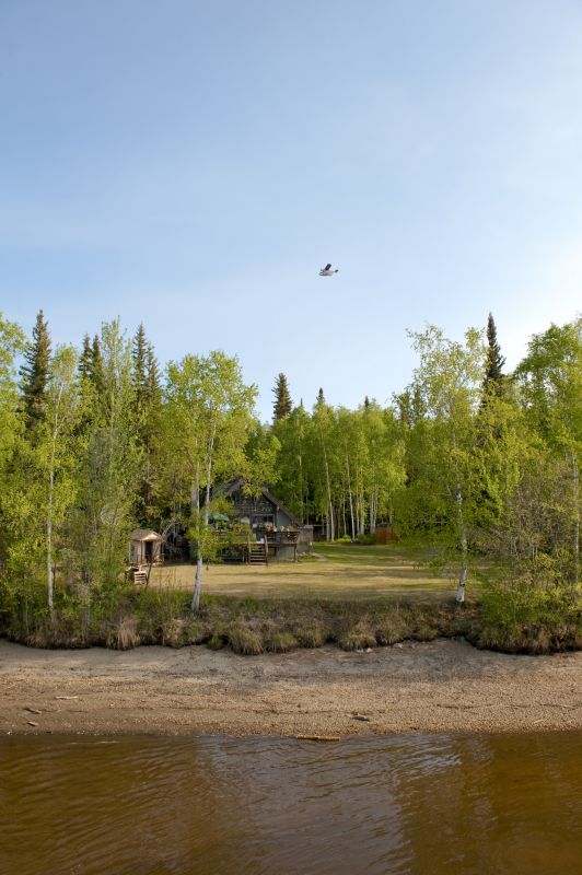 Vegetation Clearing detail
