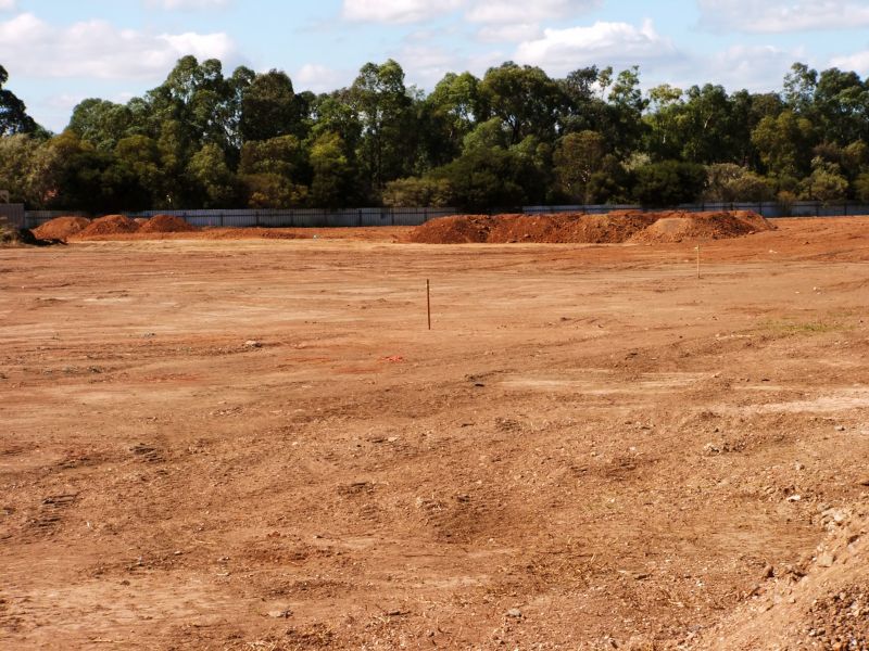 Vegetation Clearing detail